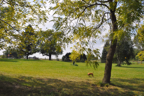 Meadow Woods Dog Park photo 2